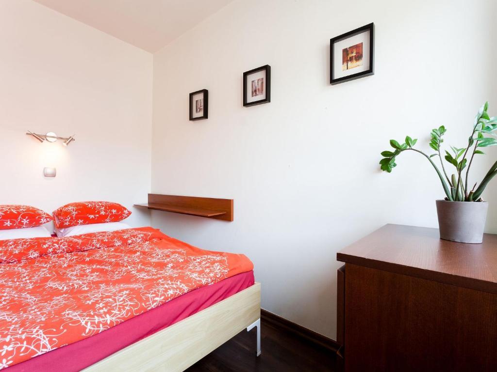 Apartment Irish Krakau